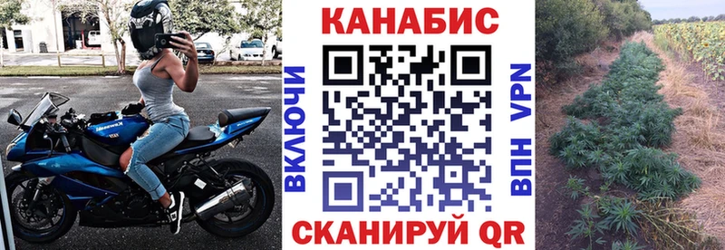 Каннабис гибрид  Белинский 